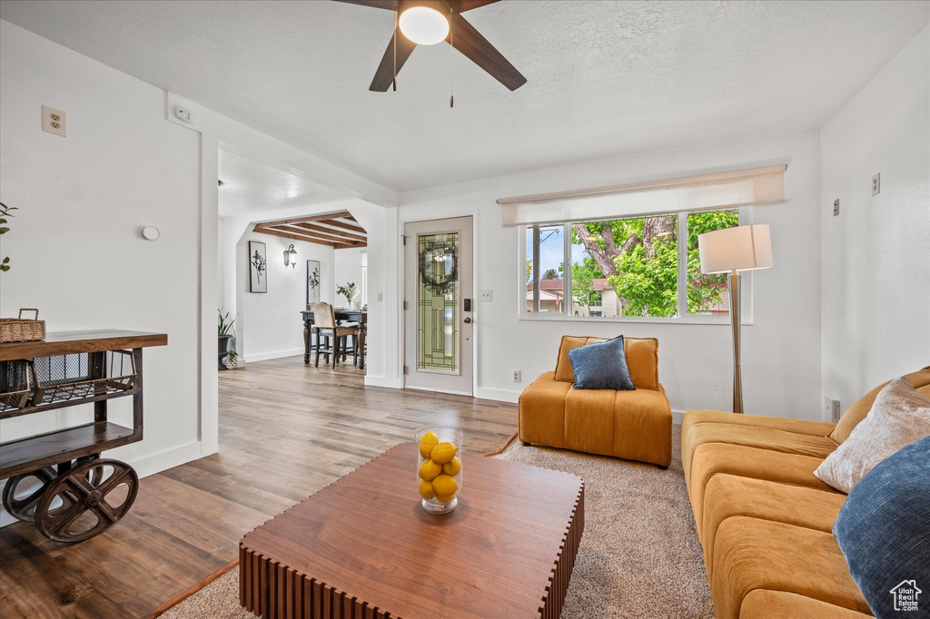 Living area featuring a ceiling fan, wood finished floors, baseboards, and arched walkways