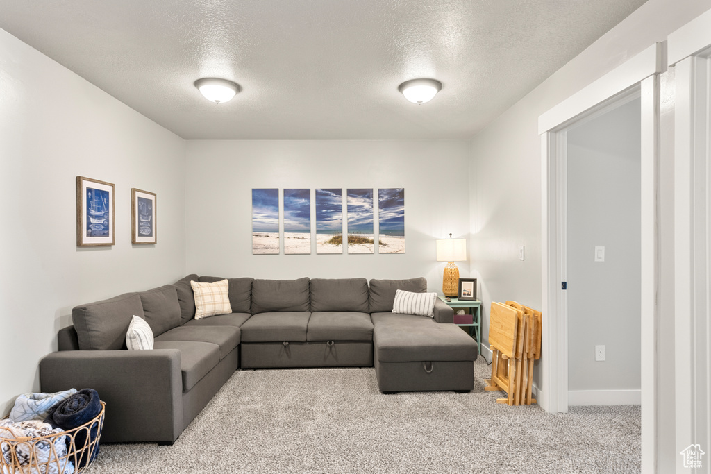 Living area with carpet floors and a textured ceiling