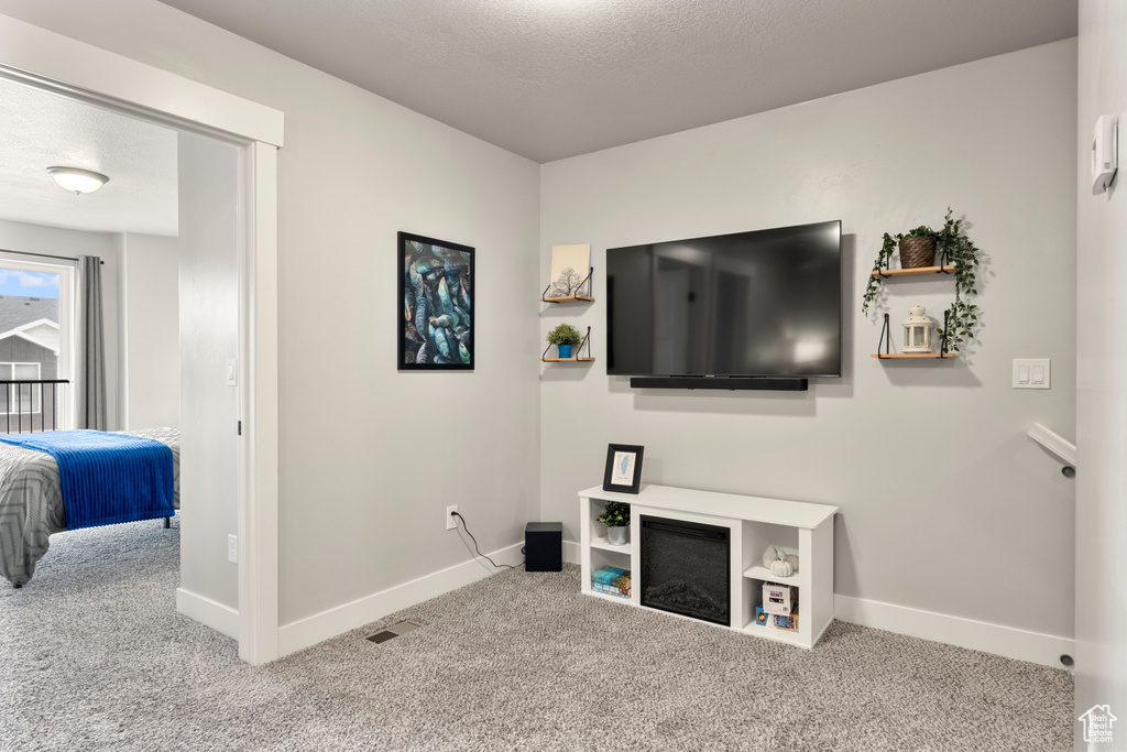 Living room featuring carpet flooring, baseboards, and a textured ceiling