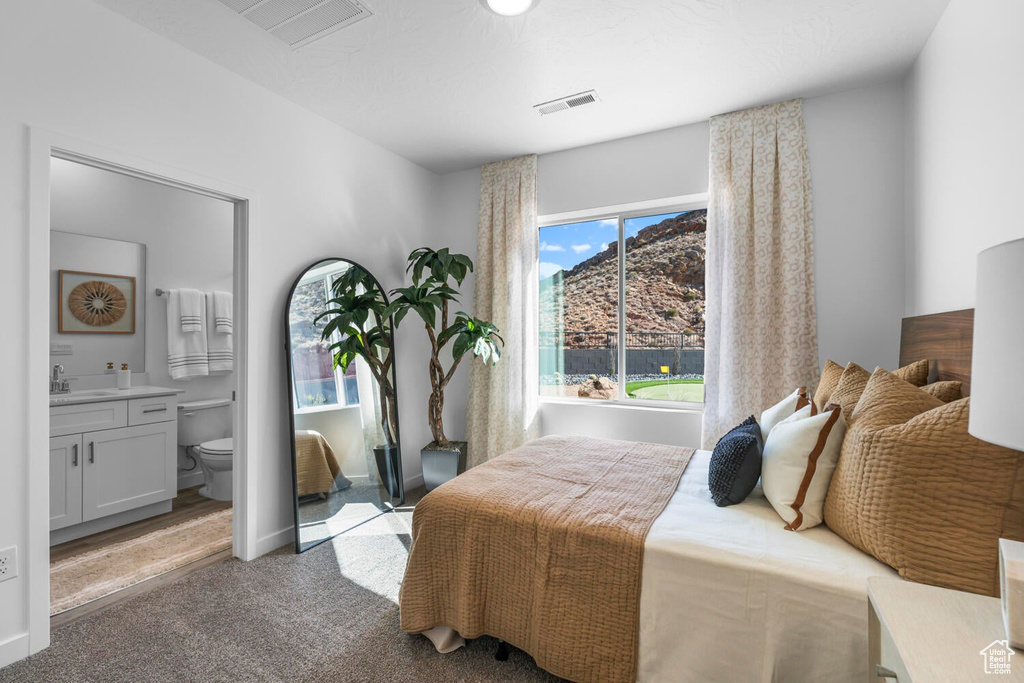 Carpeted bedroom featuring connected bathroom and a sink