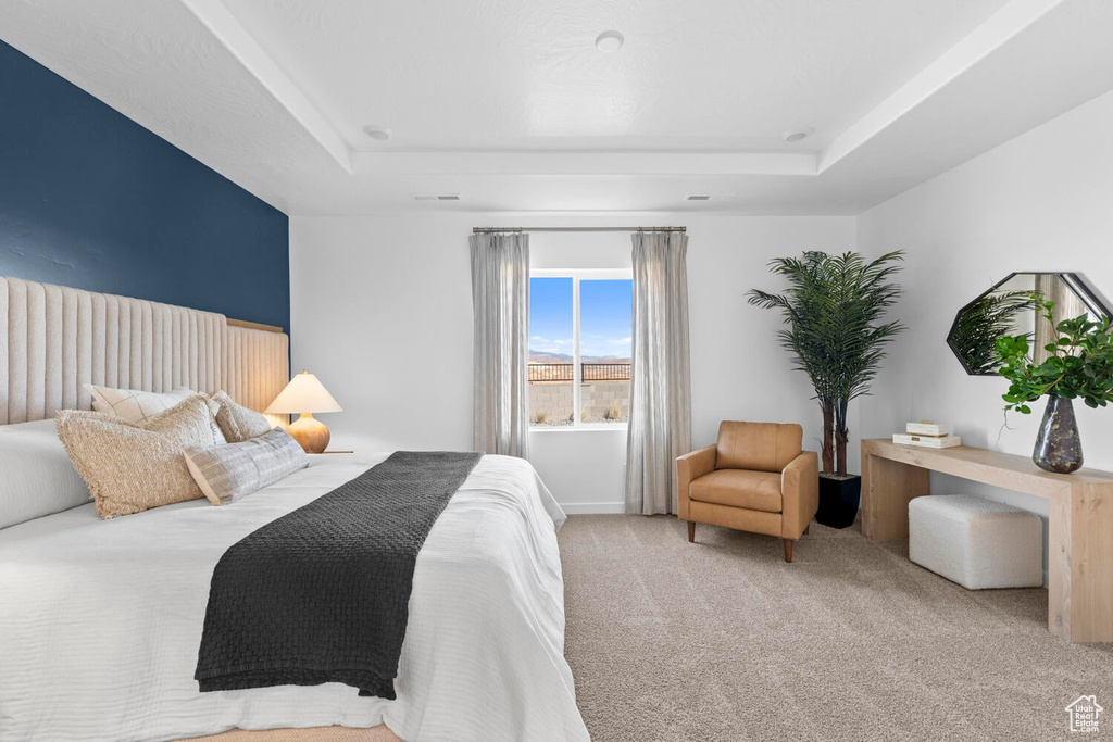 Carpeted bedroom with a tray ceiling