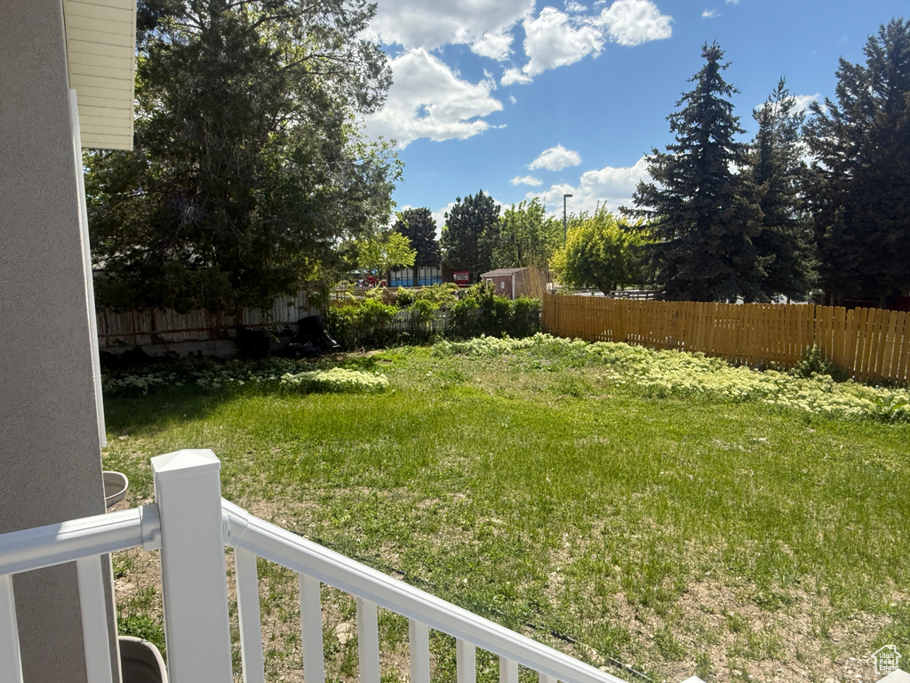 View of yard