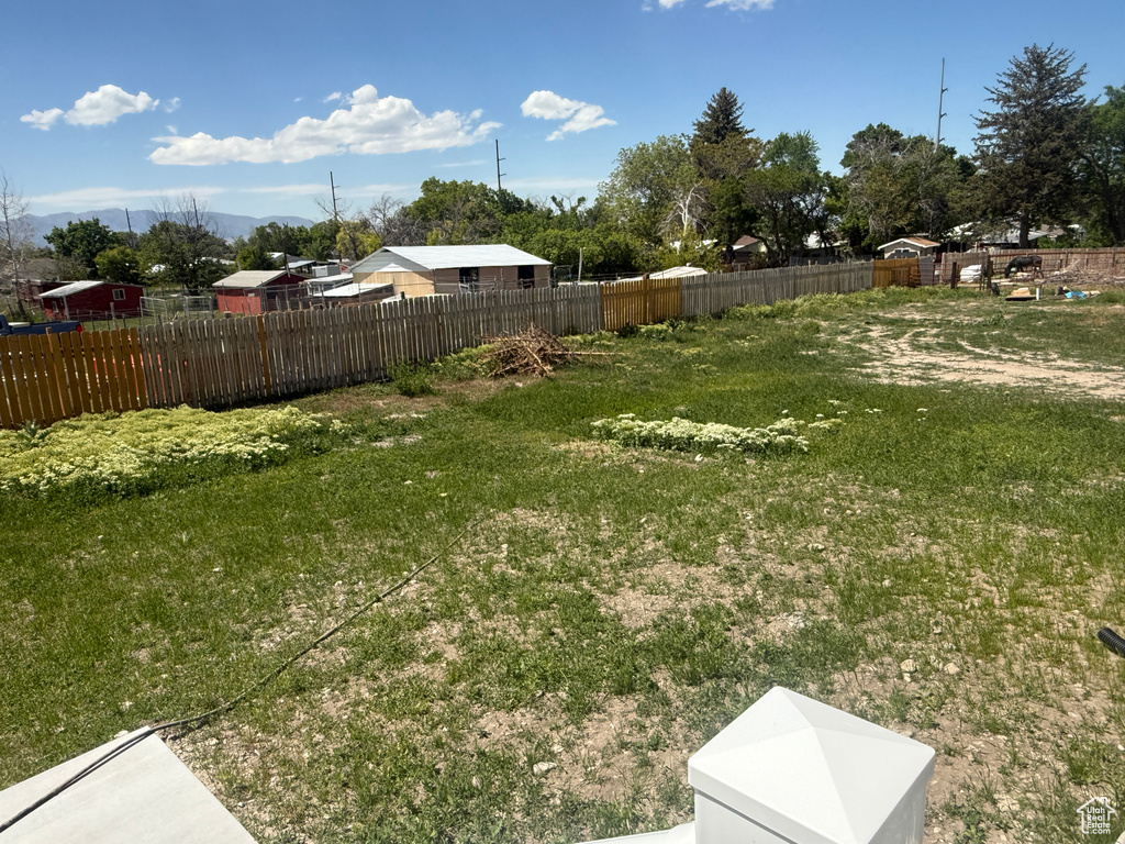 View of yard