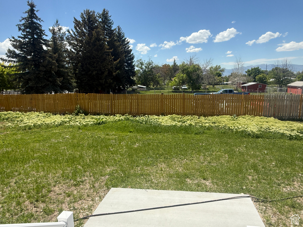 View of yard