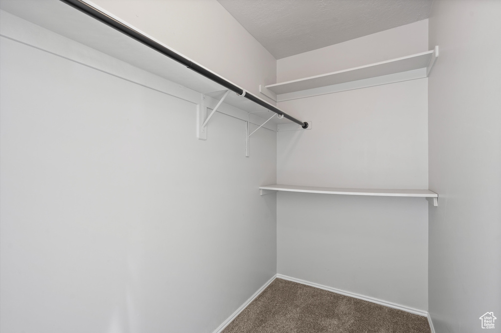 Spacious closet with carpet floors