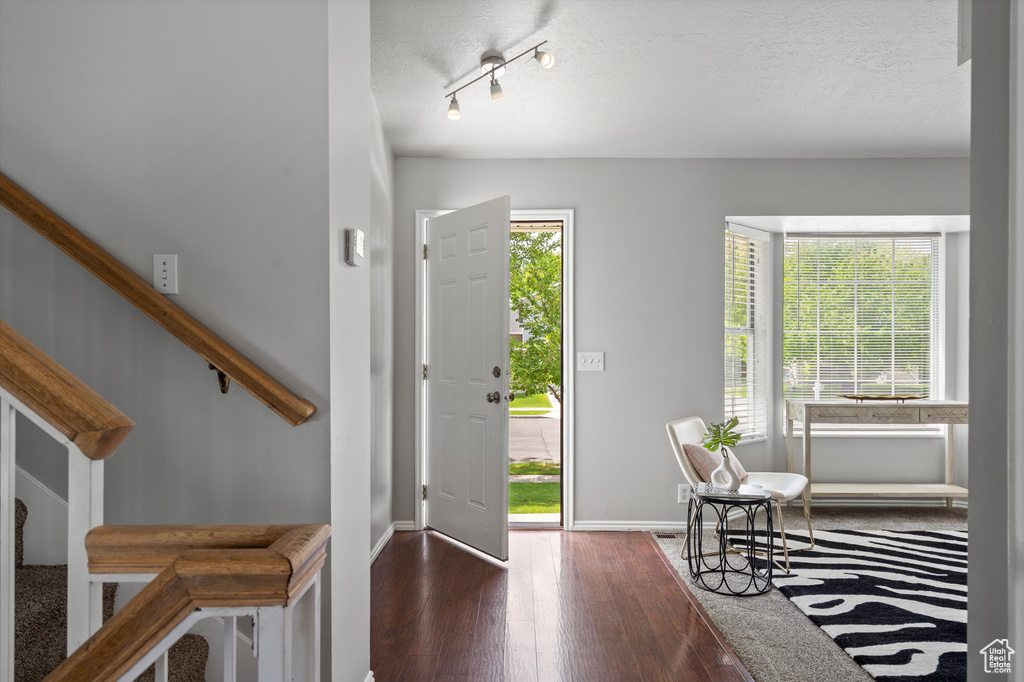 Foyer with plenty of natural light, wood finished floors, baseboards, and a textured ceiling