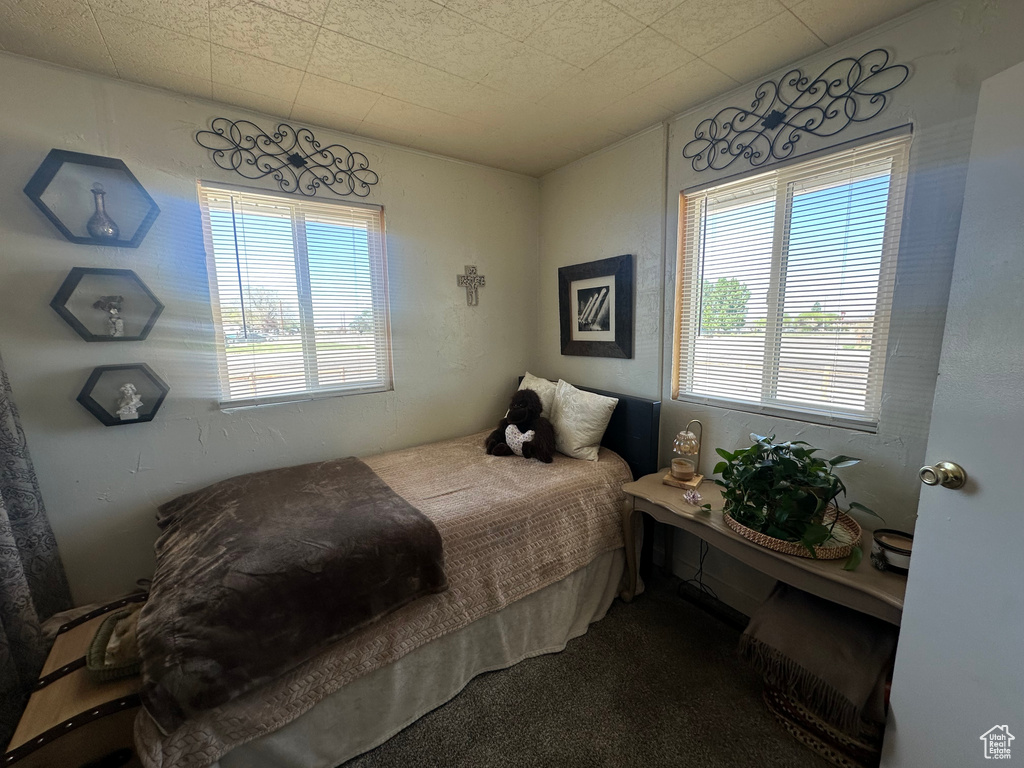 Bedroom with multiple windows and carpet floors