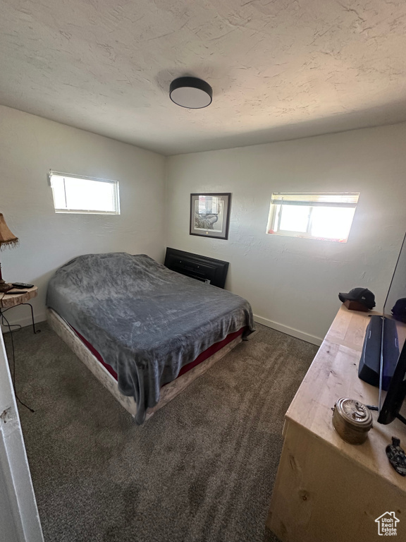 Bedroom with multiple windows, dark colored carpet, and baseboards