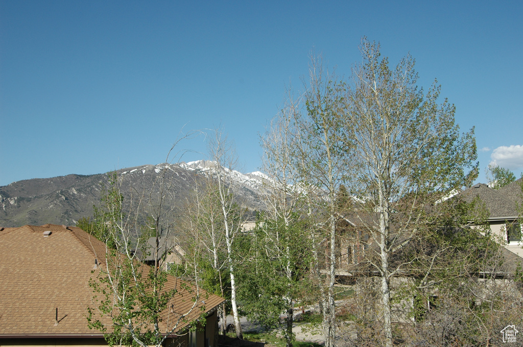Mountain view