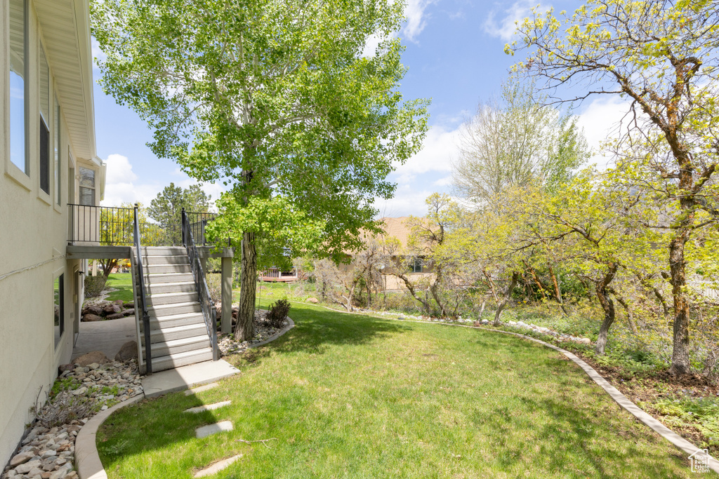 View of green lawn with stairs