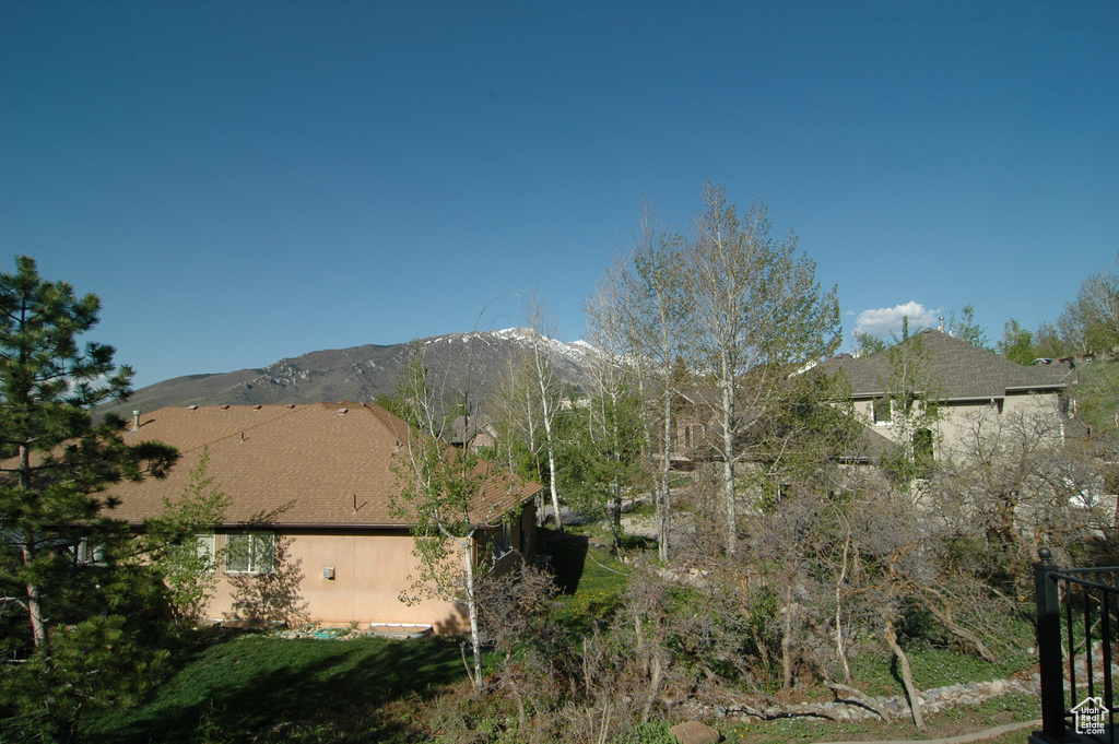 Mountain view