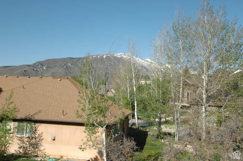 Mountain view