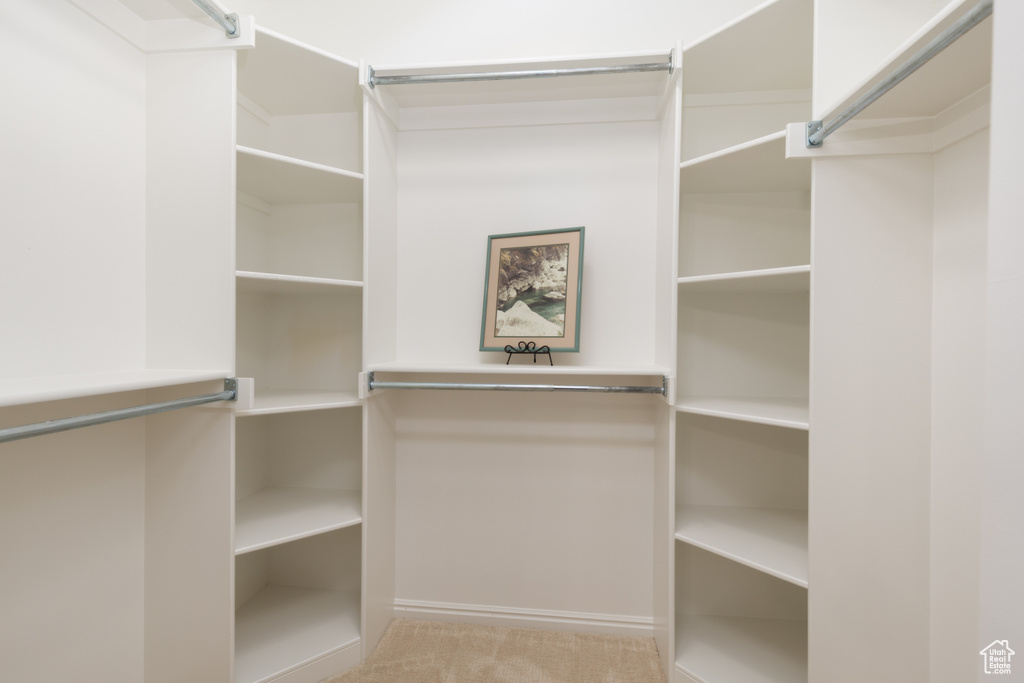 Walk in closet with carpet