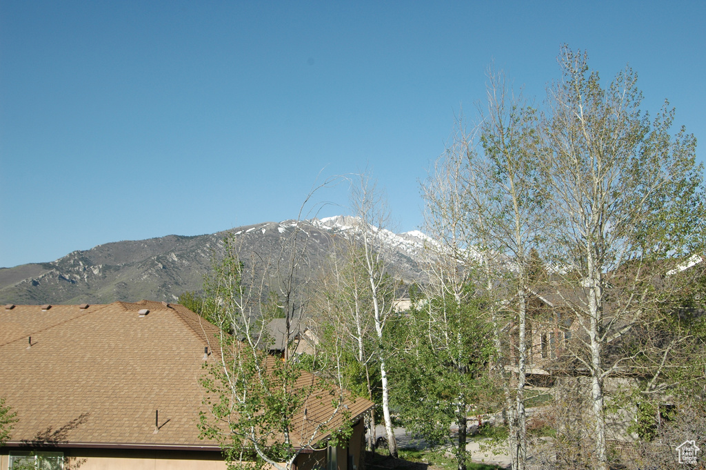 View of mountain background