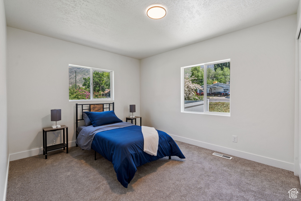 Carpeted bedroom with a textured ceiling, multiple windows, and baseboards