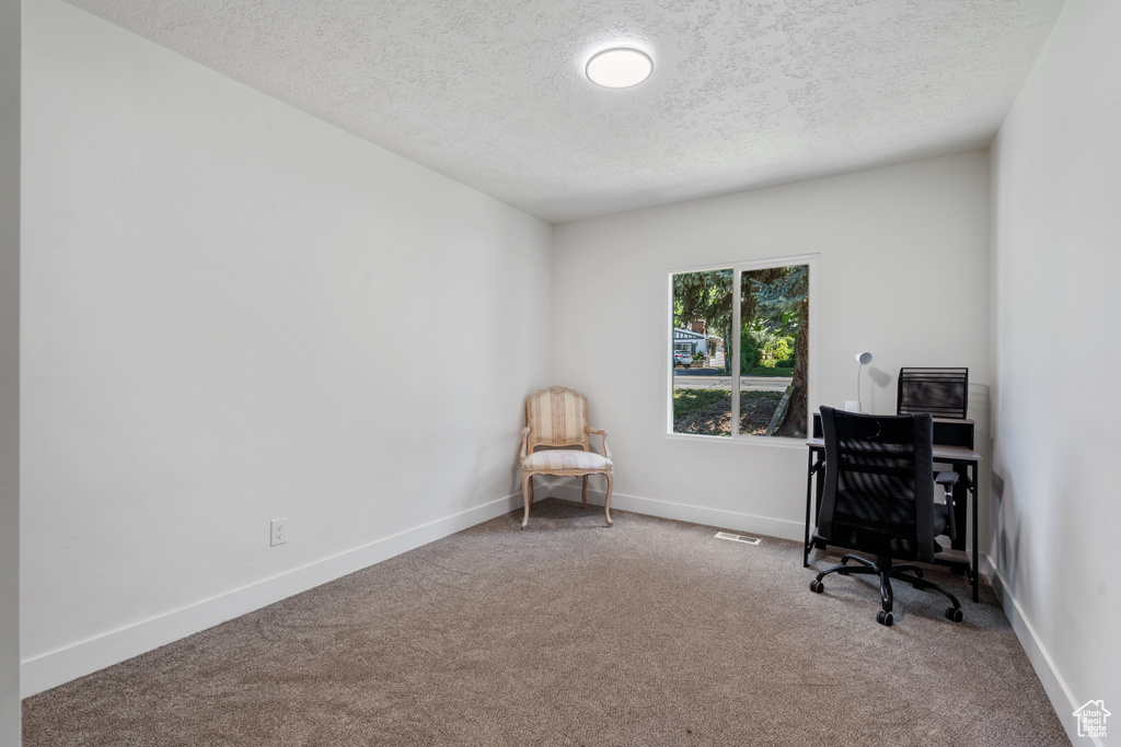 Home office featuring a textured ceiling, carpet, and baseboards