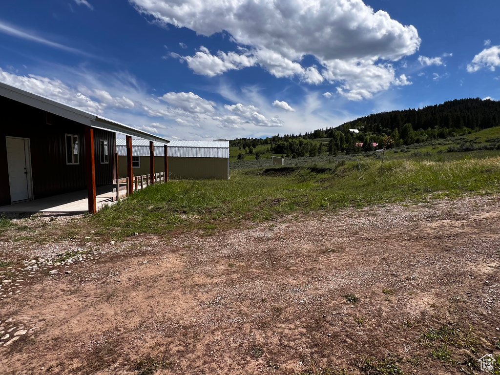 View of yard featuring a patio