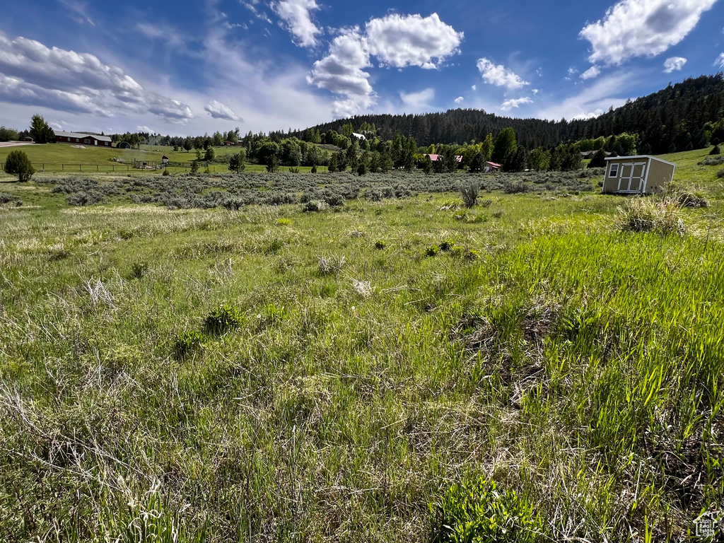 View of mountain backdrop featuring rural landscape and a heavily wooded area