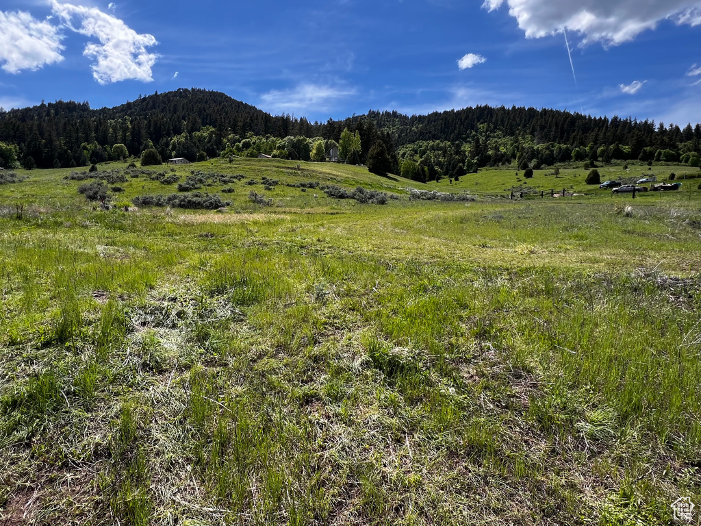 View of mountain backdrop with a forest and rural landscape