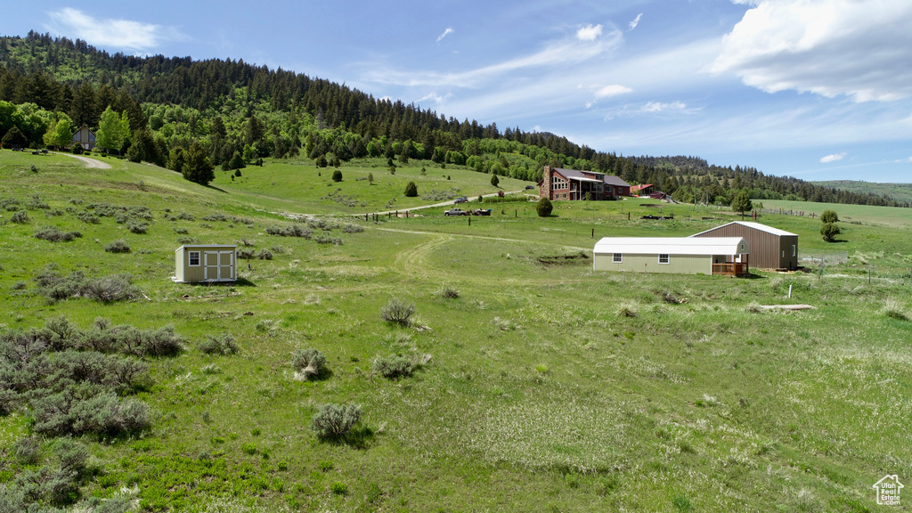 View of rural area featuring a forest and a pastoral area