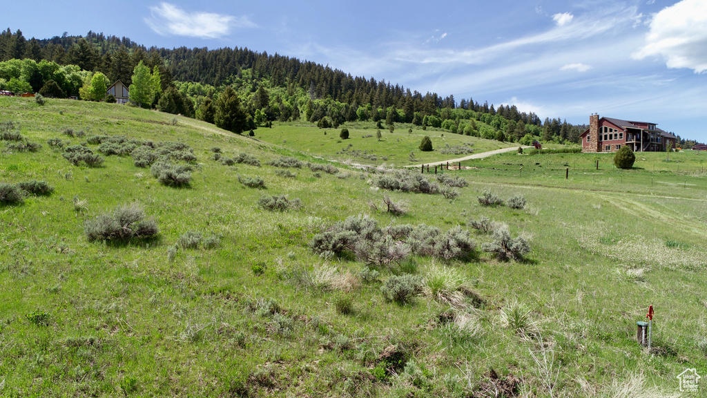 View of yard featuring a rural view and a forest view