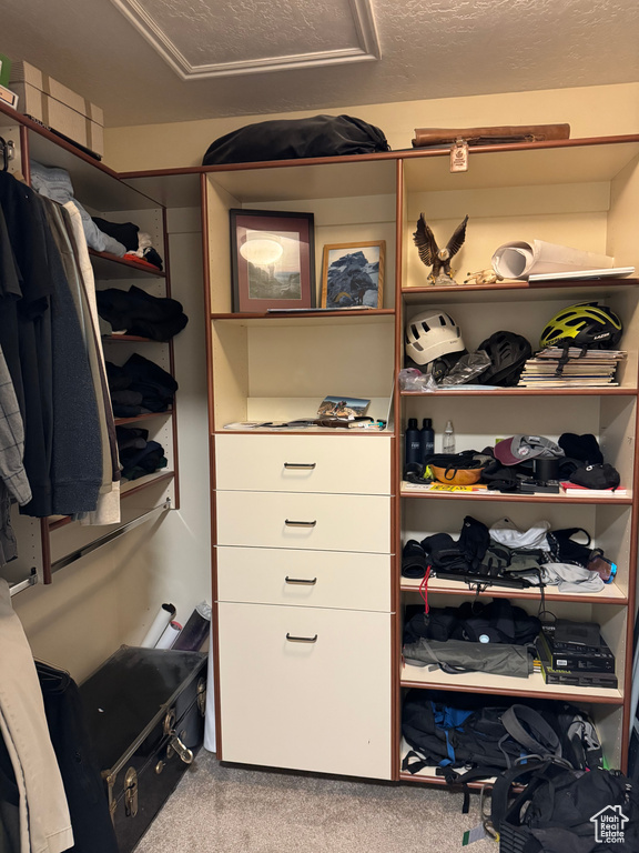 Walk in closet with carpet