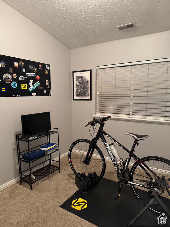 Workout area featuring a textured ceiling, carpet flooring, and baseboards