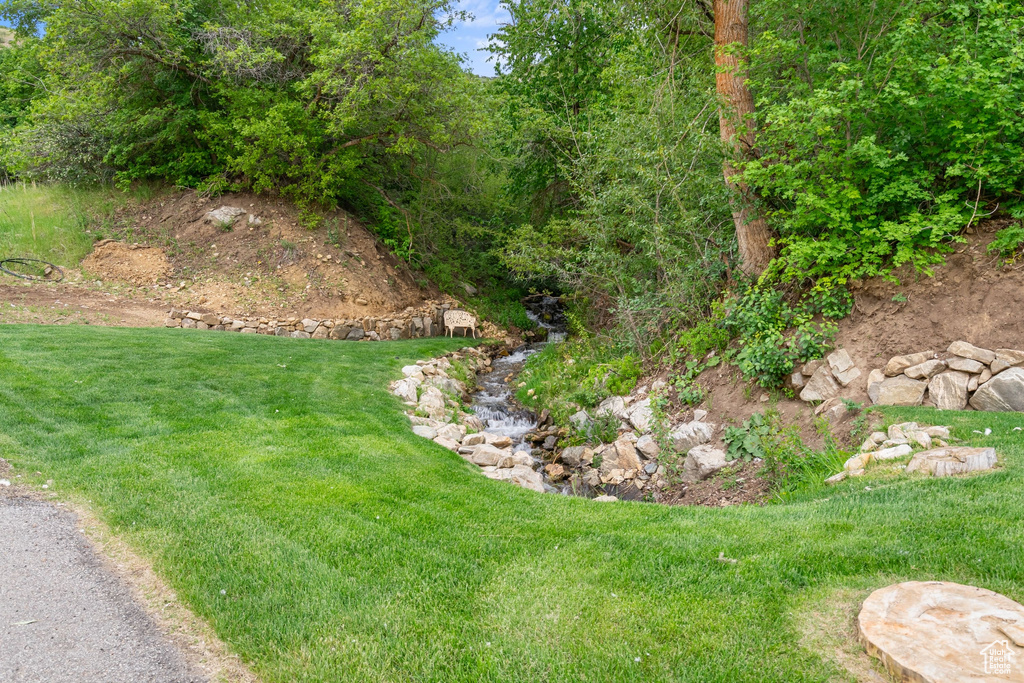 View of green lawn
