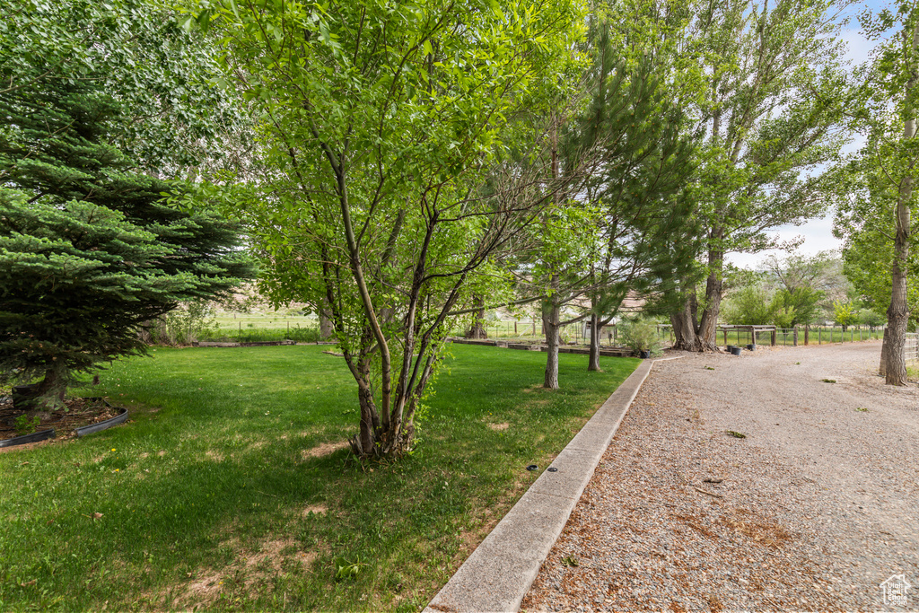 View of grassy yard