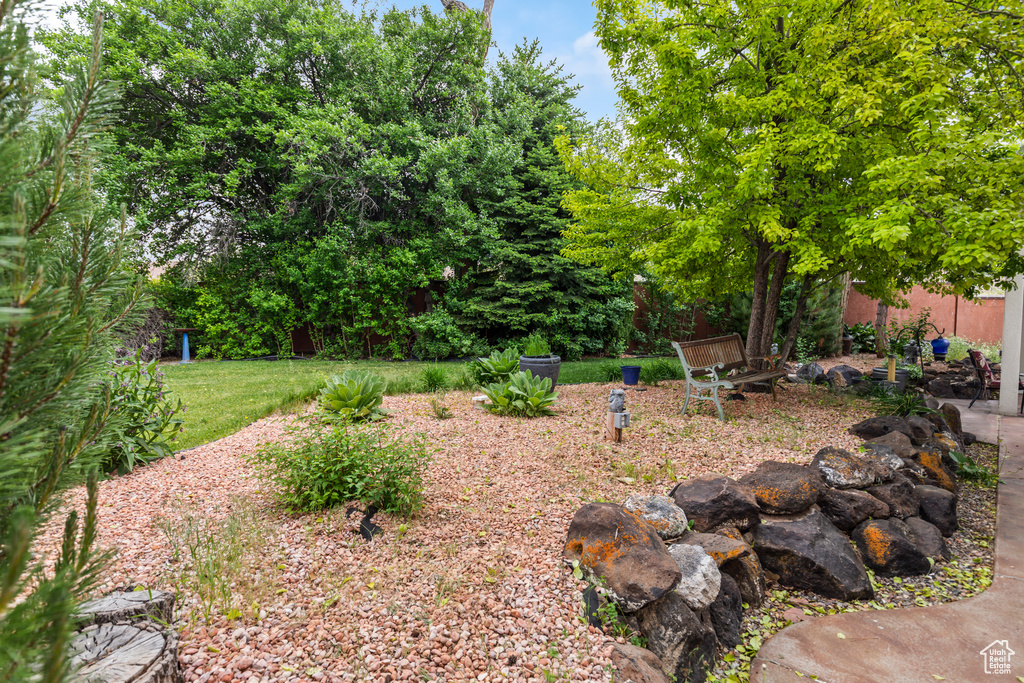 View of yard