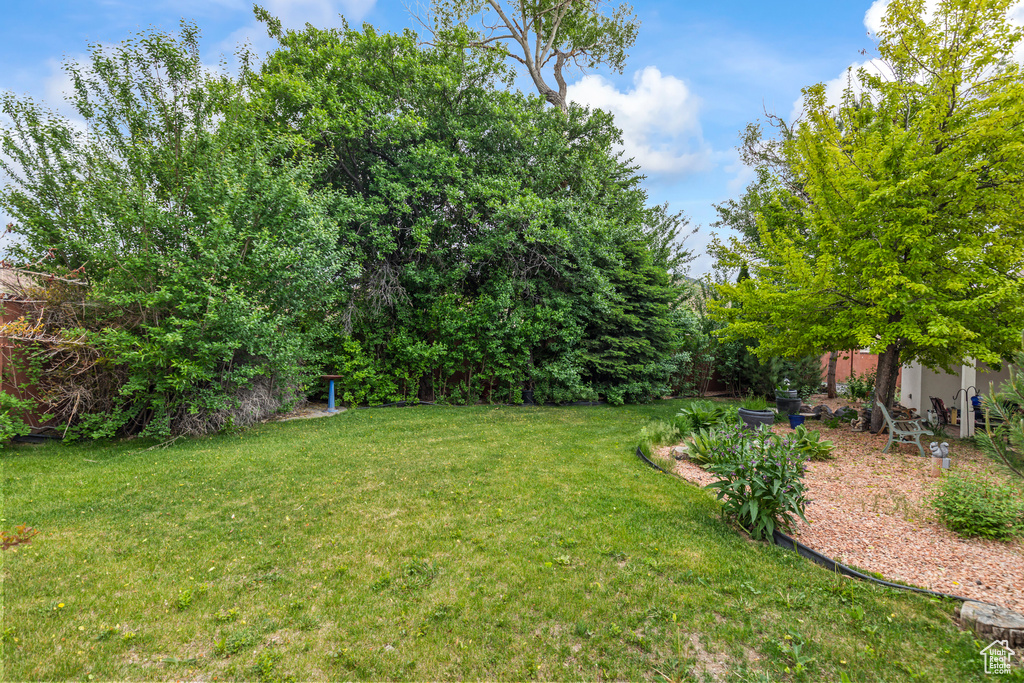 View of grassy yard