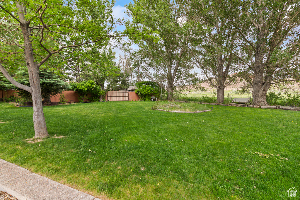 View of grassy yard