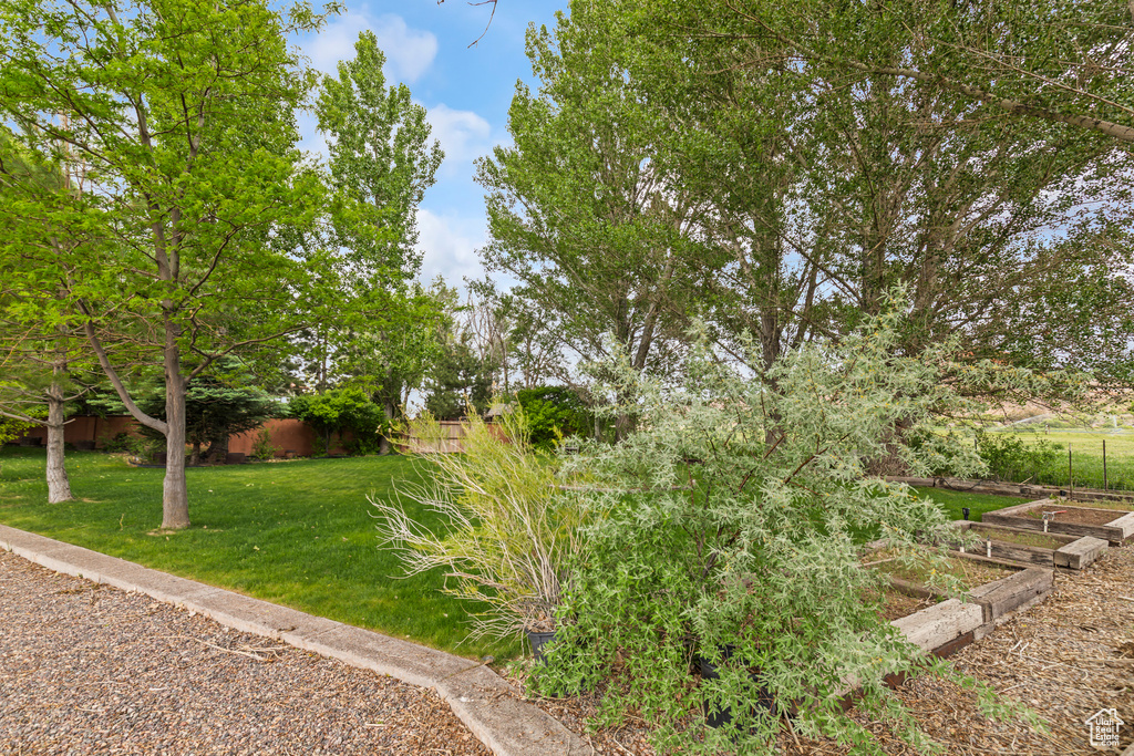 View of yard with a vegetable garden