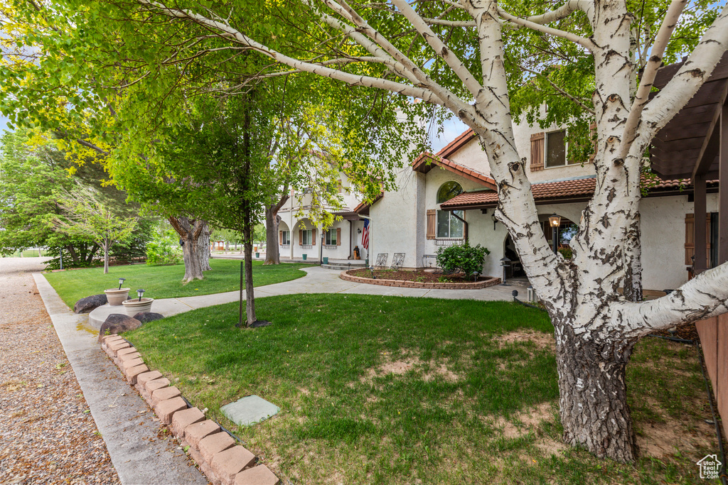 View of community with a yard