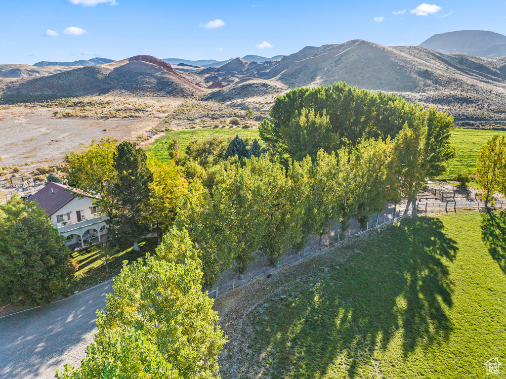 Mountain view