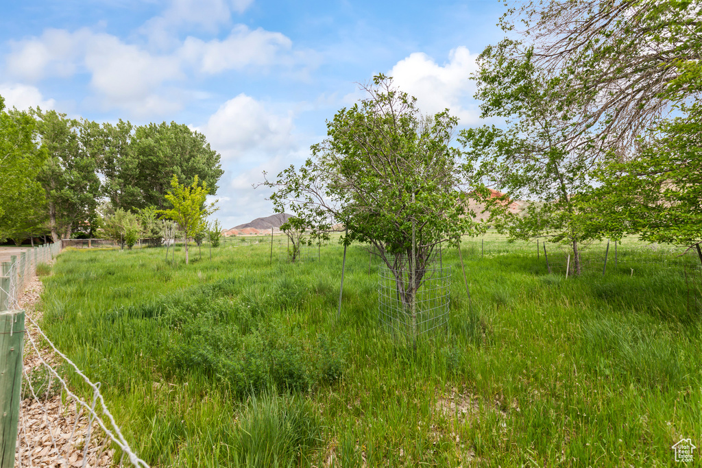 View of yard with a rural view and a mountain view