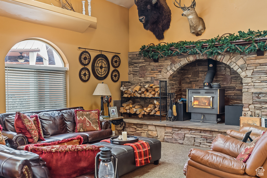 Carpeted living room featuring a wood stove