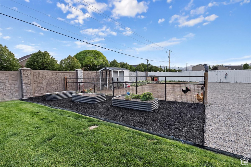 View of yard featuring a garden