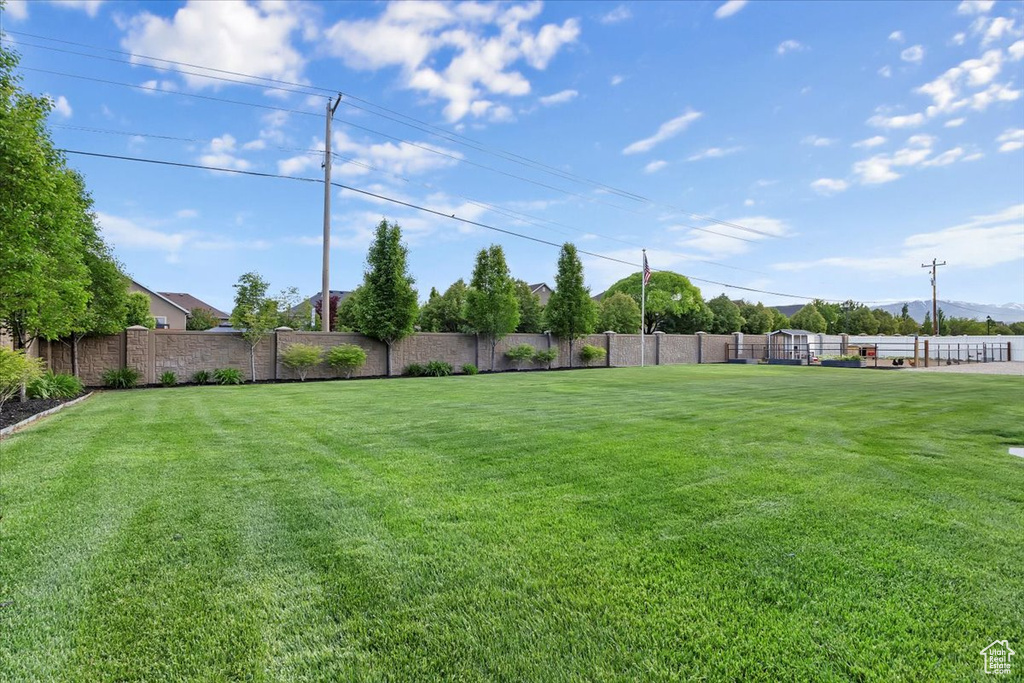 View of yard