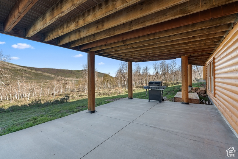 View of patio / terrace featuring grilling area