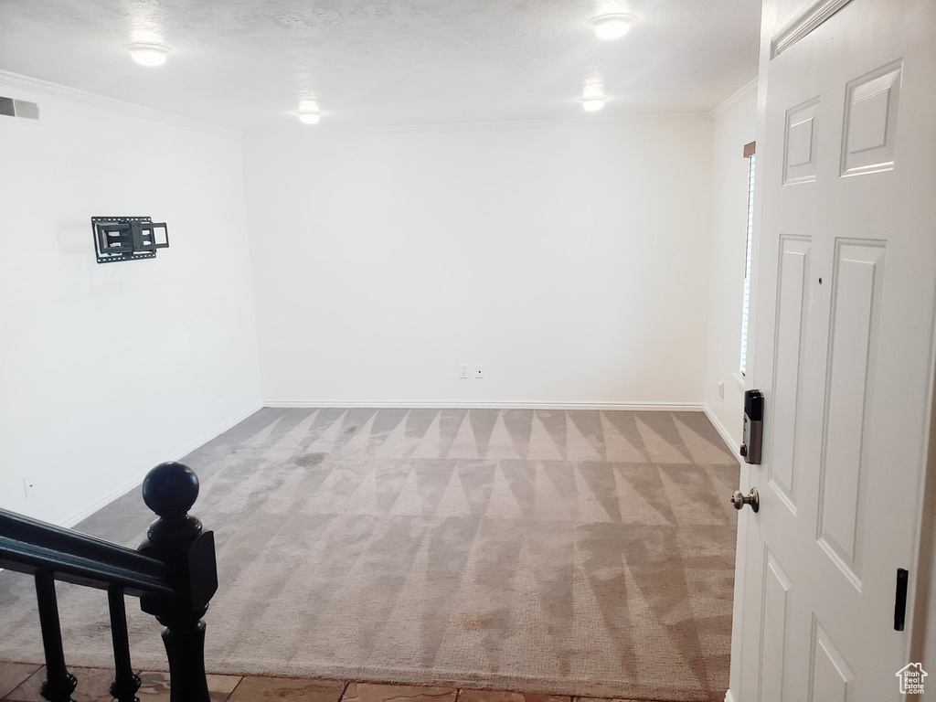Empty room featuring carpet, ornamental molding, and baseboards