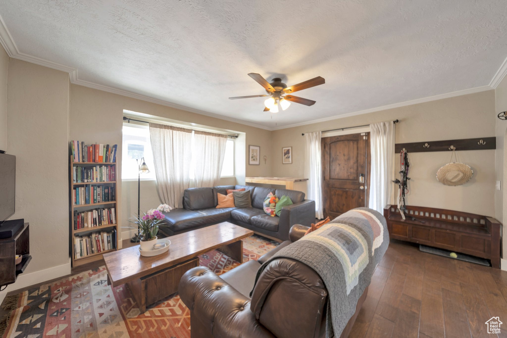 Living room with a ceiling fan, wood-type flooring, crown molding, a textured ceiling, and baseboards