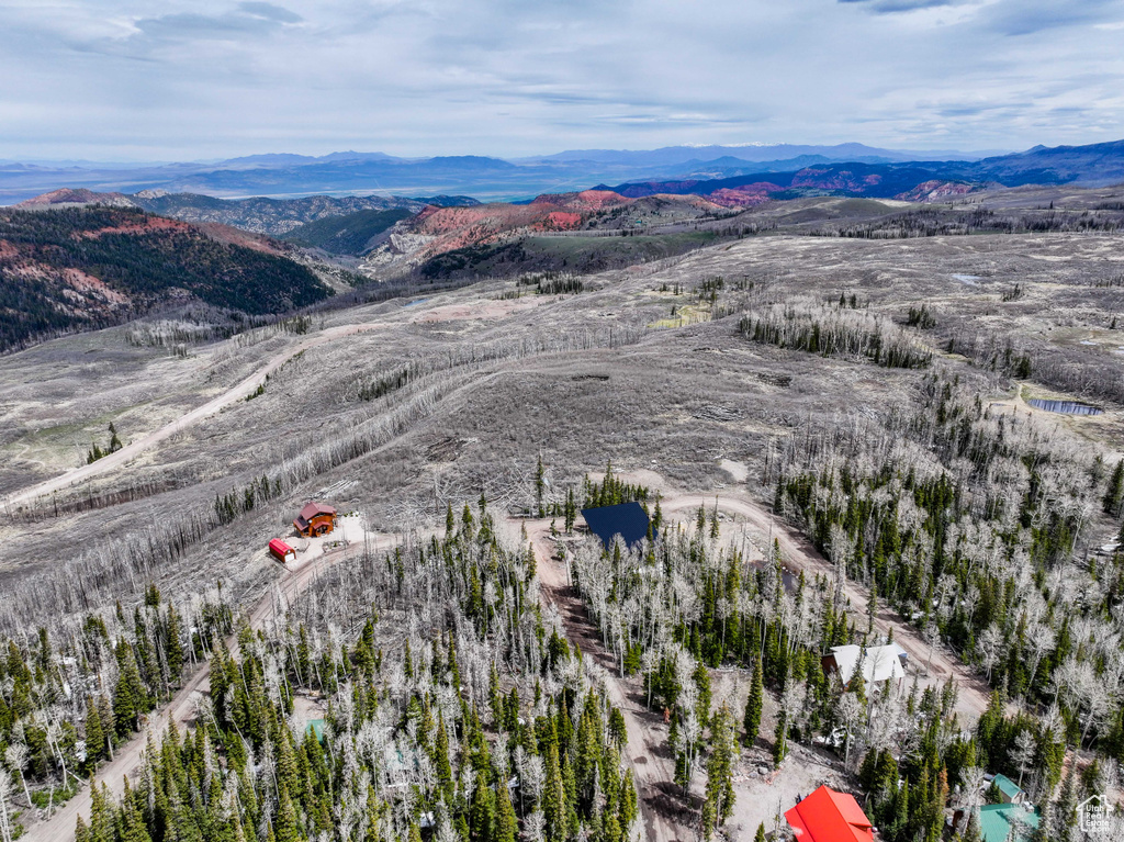 Bird's eye view of a mountain backdrop