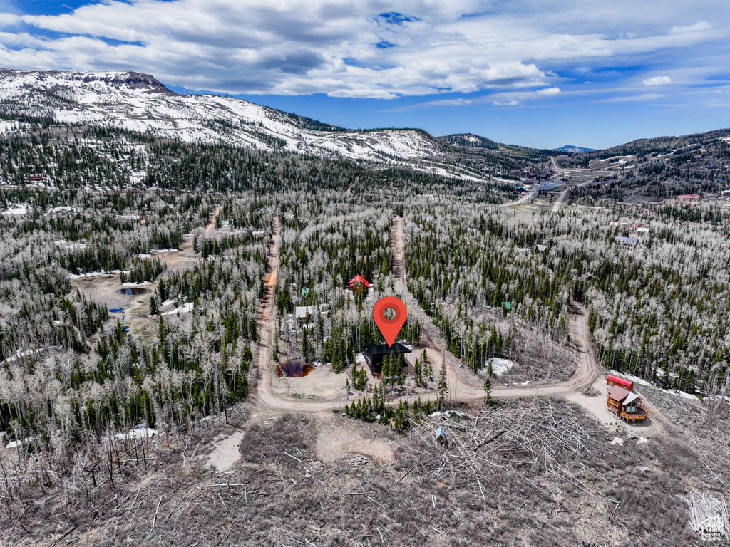View of mountain backdrop with a heavily wooded area