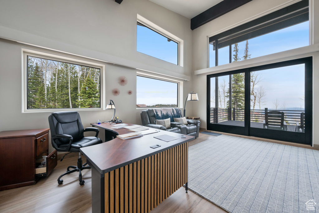 Home office featuring wood finished floors and a towering ceiling