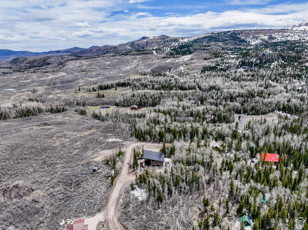 Bird's eye view of mountains