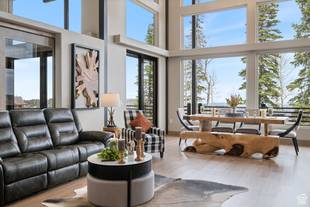 Living area with a high ceiling and wood finished floors
