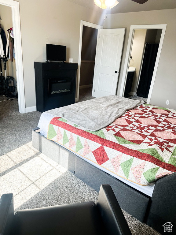 Carpeted bedroom featuring a spacious closet, a closet, and ensuite bathroom