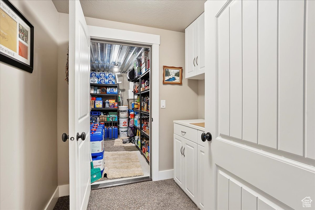 Laundry room with light carpet and baseboards