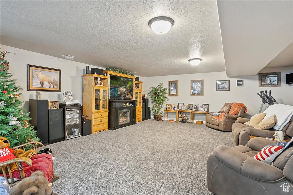Living area with carpet floors, a fireplace, and a textured ceiling